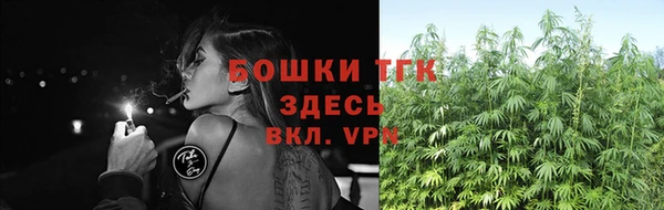 гидра Белокуриха