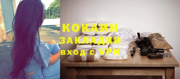 гидра Белокуриха