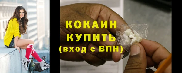 гидра Белокуриха