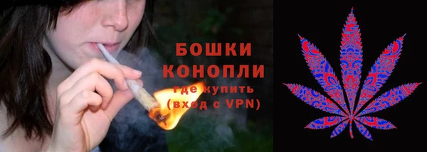 гидра Белокуриха