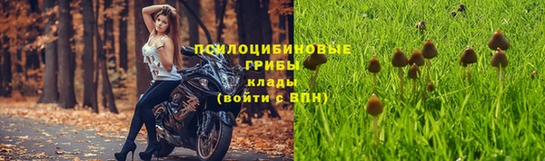 СК Беломорск