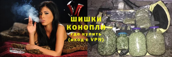 гидра Белокуриха